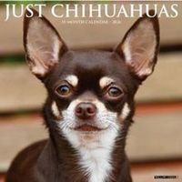 Just Chihuahuas 2026 Calendar