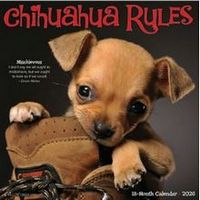 Chihuahua Rules 2026 Wall Calendar