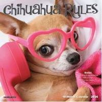 Chihuahua Rules 2026 Mini Wall Calendar