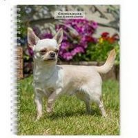Chihuahuas 2026 Engagement Planner