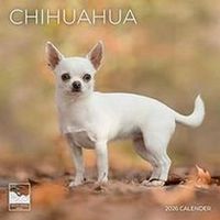 Chihuahuas 2026 Wall Calendar