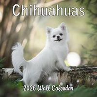 Chihuahuas 2026 Wall Calendar