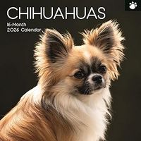 Chihuahuas 2026 Wall Calendar