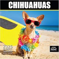 Chihuahuas 2026 Wall Calendar