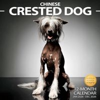 Chinese Crested Dog 2026 Calendar