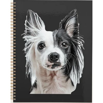 Chinese Crested Dog Planner