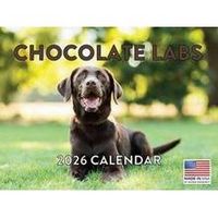 Chocolate Labs 2026 Calendar