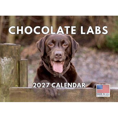 Chocolate Labs 2027 Calendar