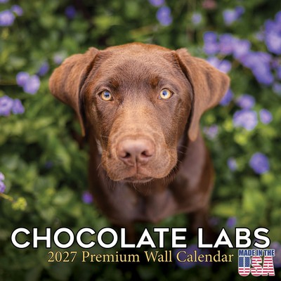 Chocolate Labs 2027 Calendar