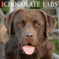 Just Chocolate Labs 2026 Wall Calendar
