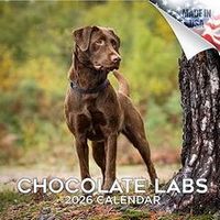 Chocolate Labs 2026 Calendar