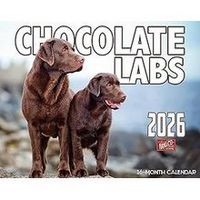 Chocolate Labs 2026 Calendar