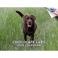 Chocolate Labs 2026 Calendar