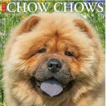 Chow Chows 2026 Calendar