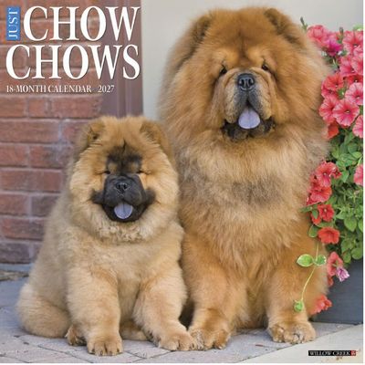 Just Chow Chows 2027 Wall Calendar