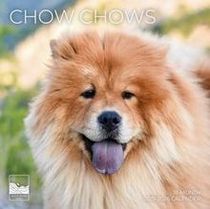 Chow Chows 2026 Calendar