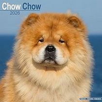 Chow Chows 2026 Calendar