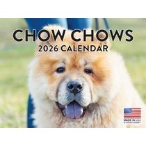 Chow Chows 2026 Calendar