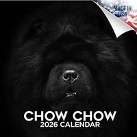Chow Chows 2026 Calendar