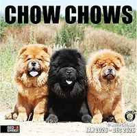 Chow Chows 2026 Calendar