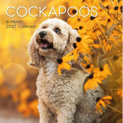 Cockapoo 2027 Calendar