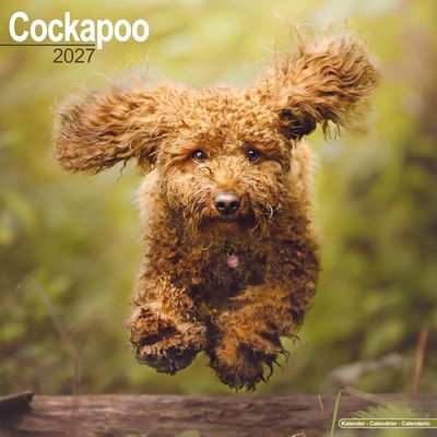 Cockapoo 2027 Calendar