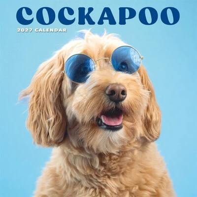 Cockapoo 2027 Calendar
