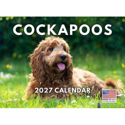 Cockapoo 2027 Calendar