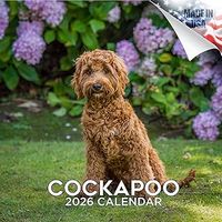 Cockapoo 2026 Calendar