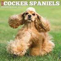 Cocker Spaniel 2026 Calendar