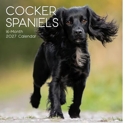 Cocker Spaniels 2027 Wall Calendar