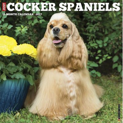 Just Cocker Spaniels 2027 Wall Calendar