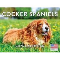 Cocker Spaniel 2026 Calendar