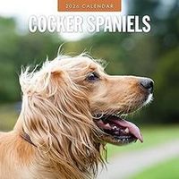 Cocker Spaniel 2026 Calendar