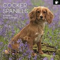Cocker Spaniel 2026 Wall Calendar