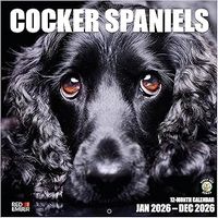 Cocker Spaniel 2026 Wall Calendar