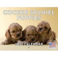 Cocker Spaniel Puppies 2026 Calendar