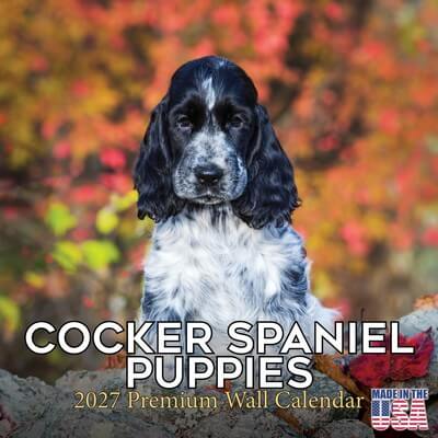Cocker Spaniel Puppies 2027 Monthly Wall Calendar