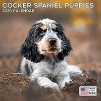 Cocker Spaniel Puppies 2026 Calendar