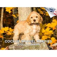Cocker Spaniel Puppies 2026 Wall Calendar