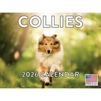 Collies 2026 Calendar