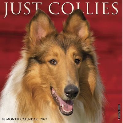Just Collies 2027 Calendar