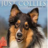 Just Collies 2026 Calendar