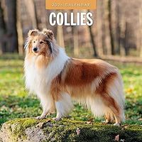 Collies 2026 Calendar