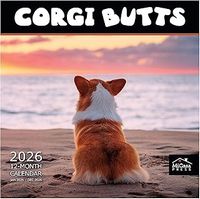 Corgi Butts 2026 Calendar