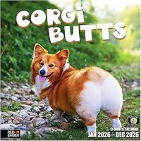 Corgi Butts 2026 Calendar
