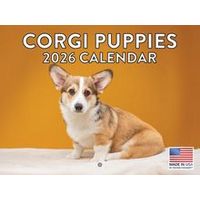 Corgi Puppies 2026 Calendar