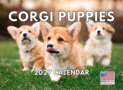 Corgi Puppies 2027 Calendar
