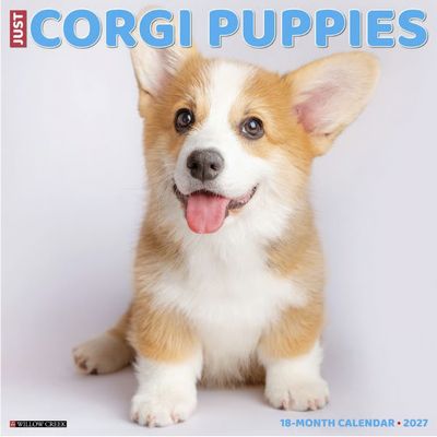 Corgi Puppies 2027 Wall Calendar
