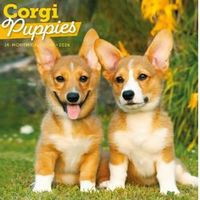 Corgi Puppies 2026 Calendar
